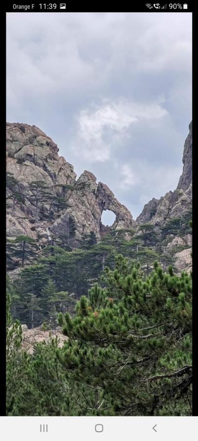 Appartamento Fresi Gustave Levie Esterno foto